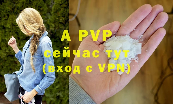 ГАЛЛЮЦИНОГЕННЫЕ ГРИБЫ Кодинск