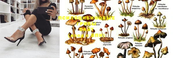 мдма Козельск