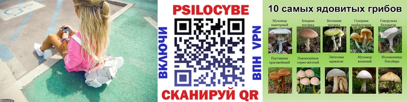 Псилоцибиновые грибы Psilocybine cubensis  Купить где  Ржев 